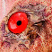 Two-Faced Tato